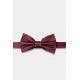 Plain bow tie